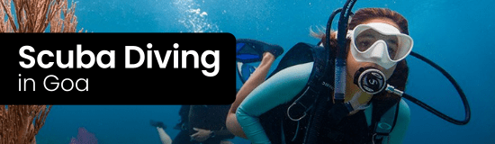 scuba diving in goa malvan